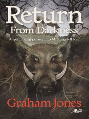 cover image of Return From Darkness